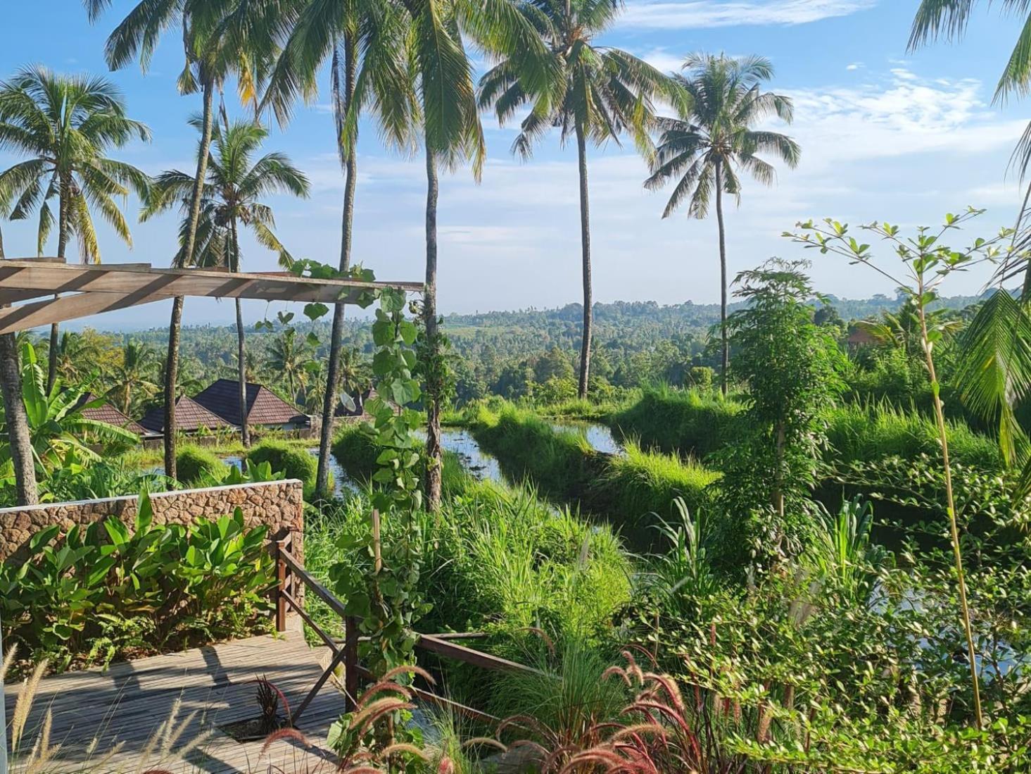 Omantra Home Bali Singaraja Esterno foto